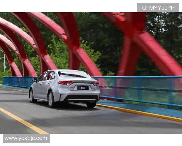 西安极限运动队引领潮流最新团队协作极限运动TOP10揭晓实时数据